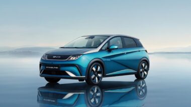 Byd Dolphin : Vab voiture familiale électrique 2024